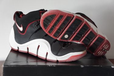 Nike Zoom LeBron IV, size 12