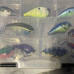 Fishing 🎣 lures