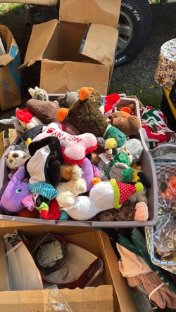 Container of small dog toys