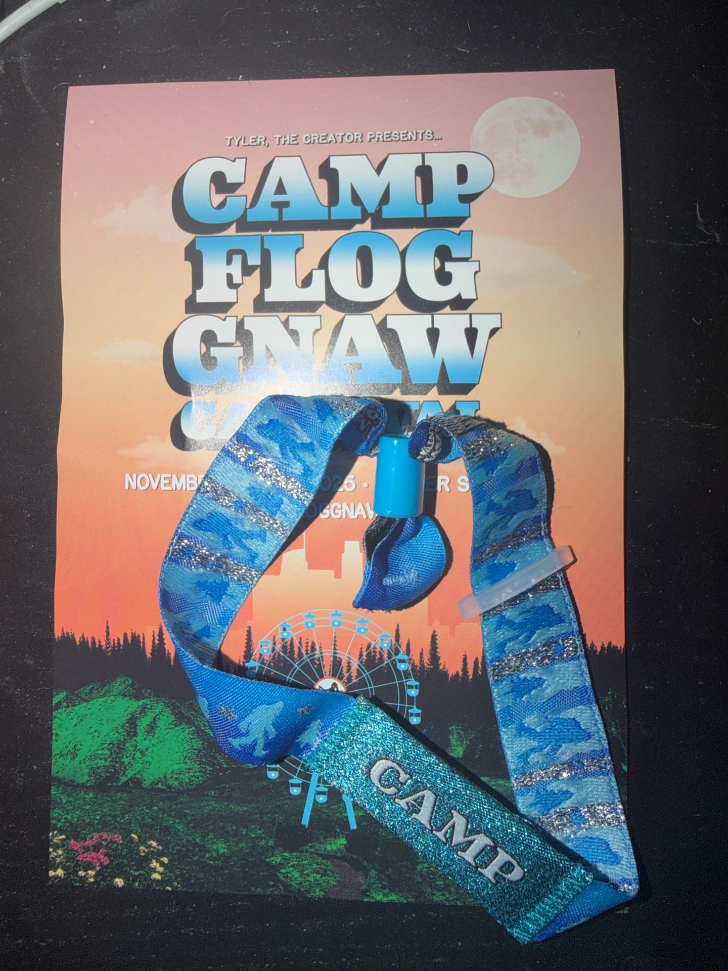 Camp Flog Gnaw Ticket