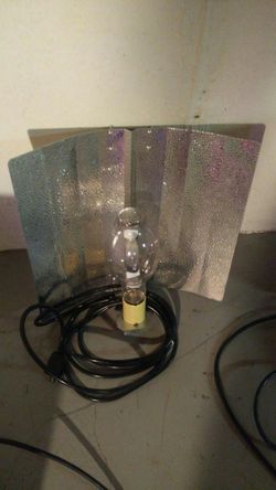 Light shield
