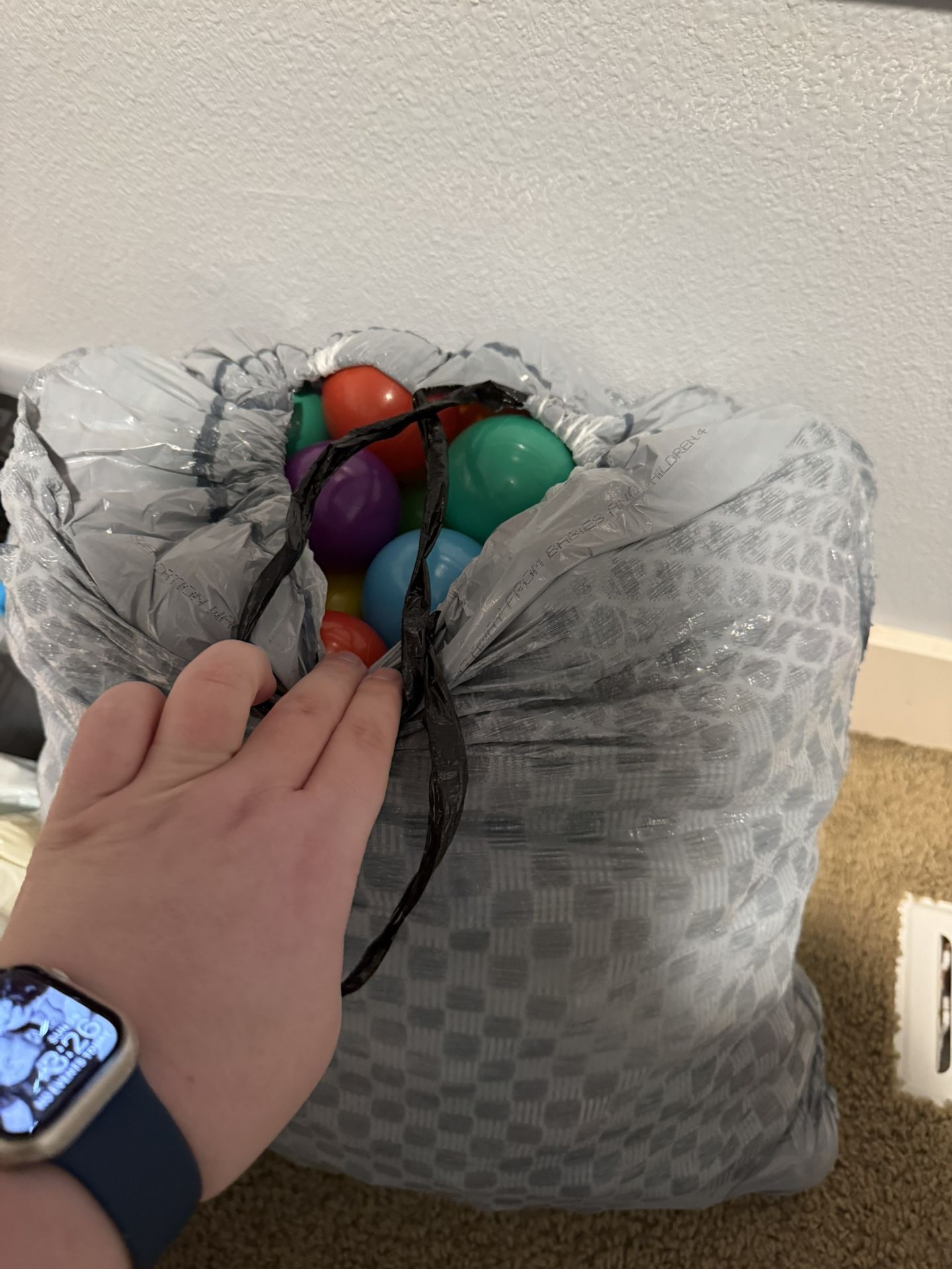 Ball Pit Balls (2) 