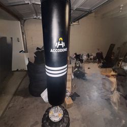 Boxing Bag 