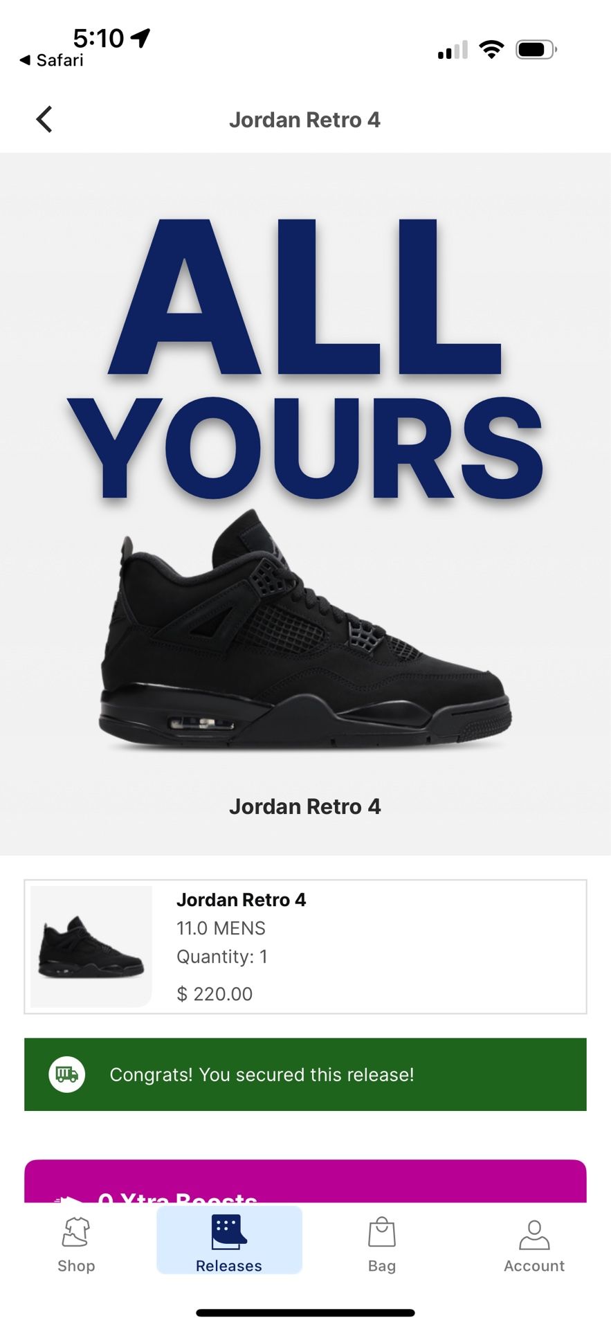 Black Cat Air Jordan 4