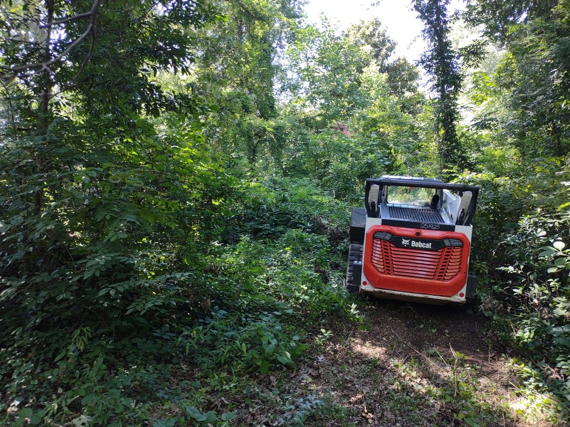 Land Clearing/ Brush Cutting/Skid Steer 
