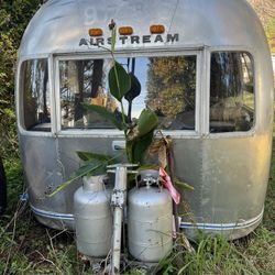 1974 AIRSTREAM 
