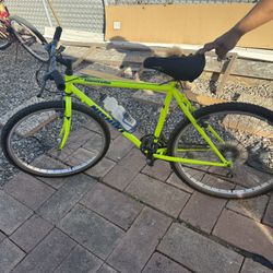 Nishiki Mountain Bike