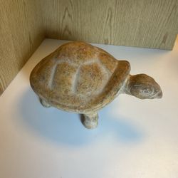 Terra Cotta Turtle