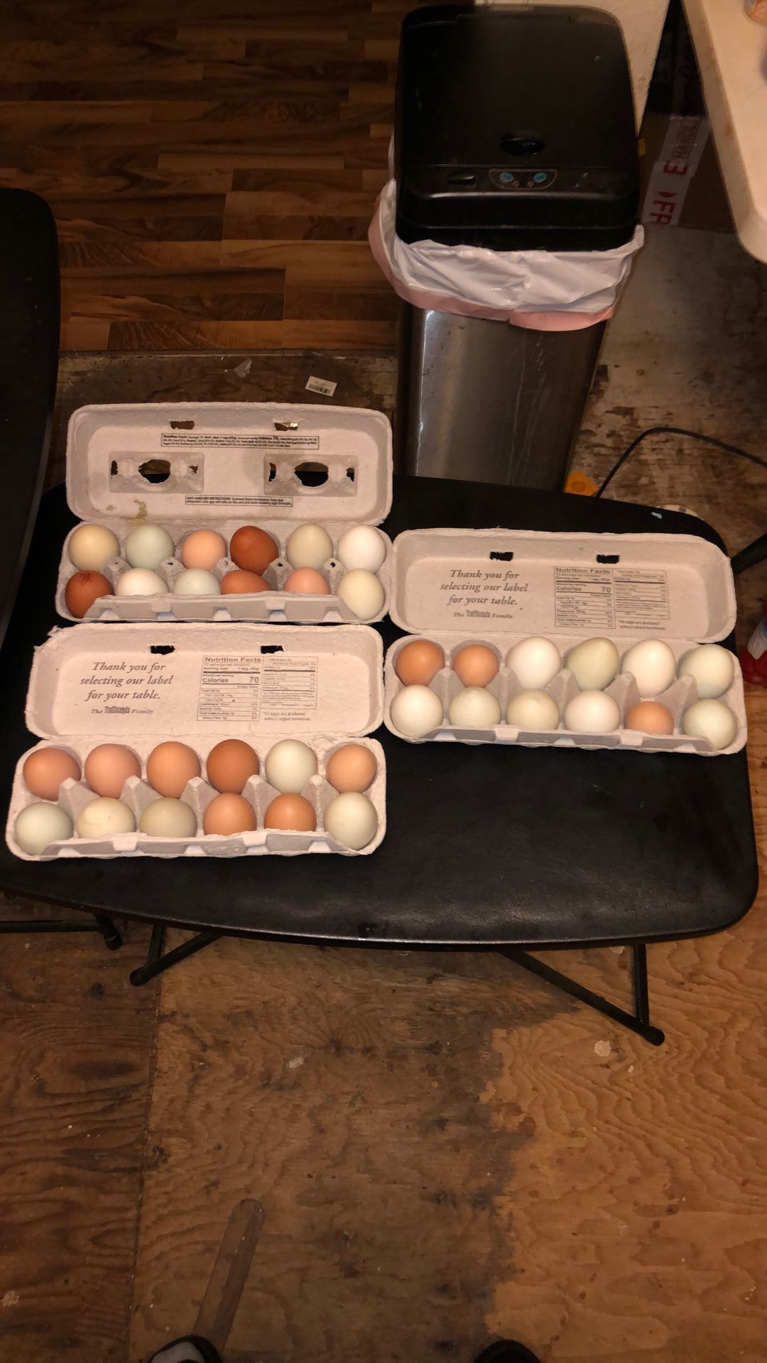 Fresh Eggs