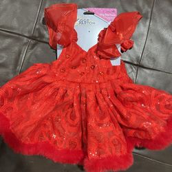 Dog Dress /gala Dress For Dog 