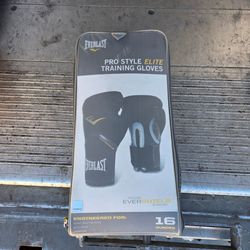 Everlast Pro Style Elite Training Gloves 16 oz