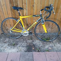 GIANT TCR 2