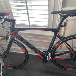 Carbon Fiber Street Bicycle