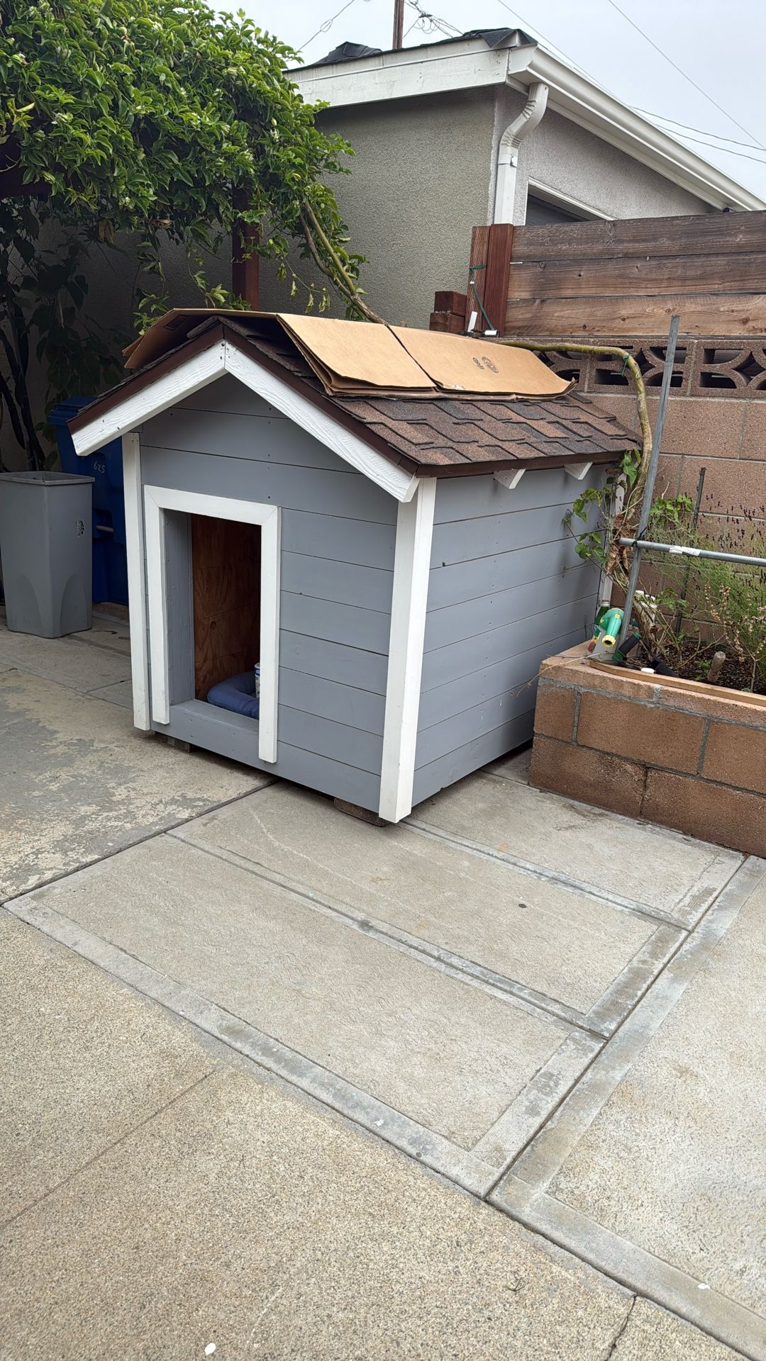 Dog House