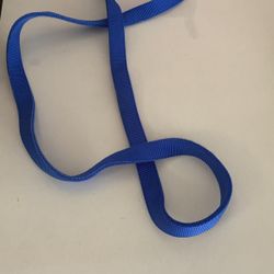 Blue sturdy dog leash
