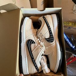 Albino And Preto Nike Sb Size 9