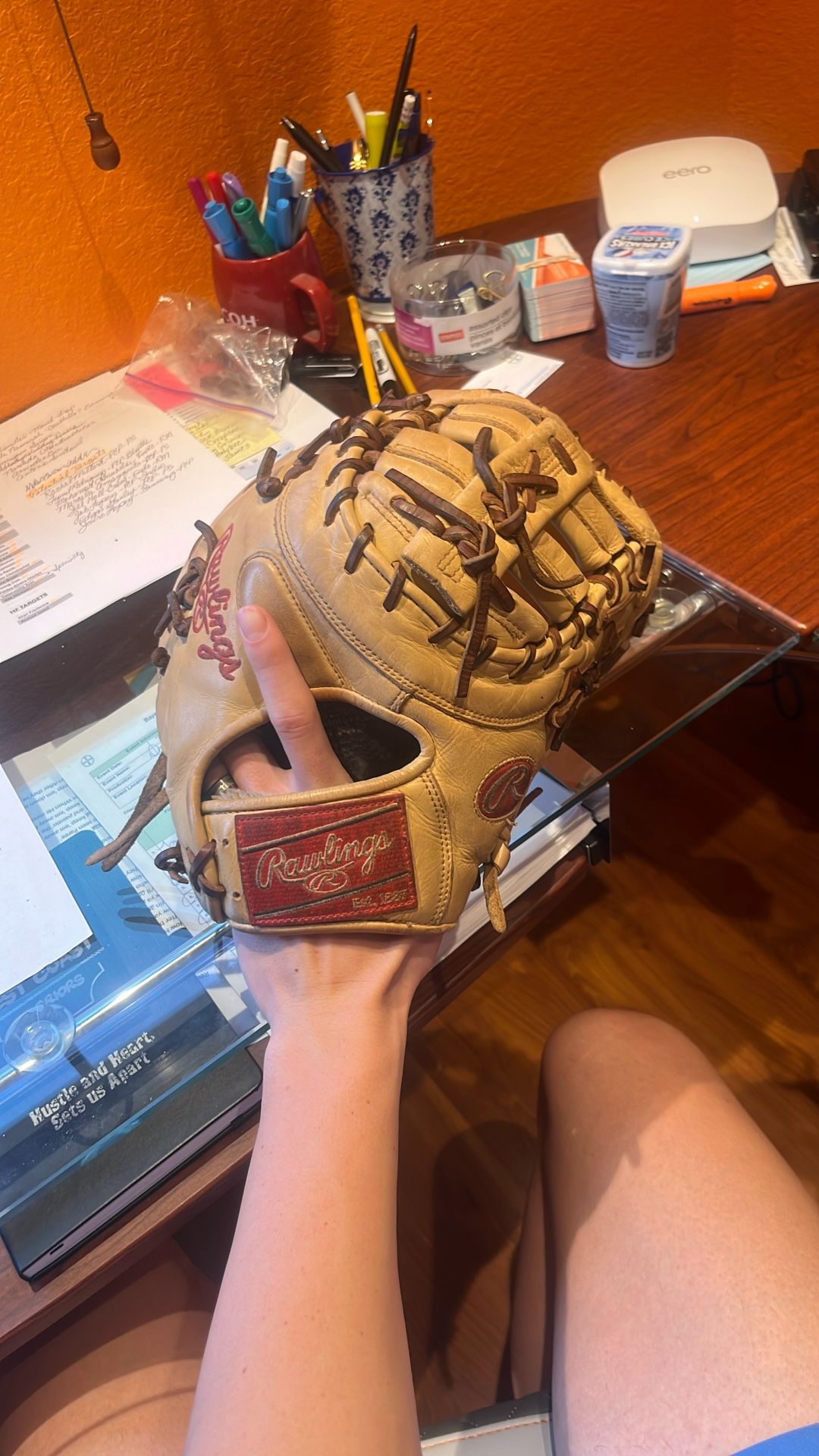 Baseball Glove