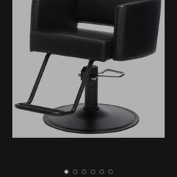 Salon / Barber Chair