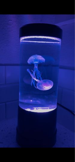 Jellyfish lamp