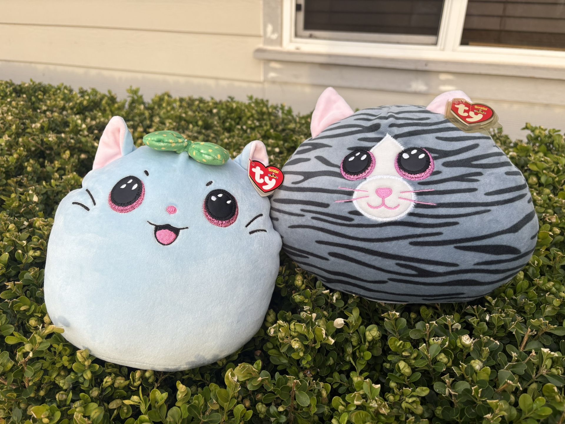 Ty Plushies
