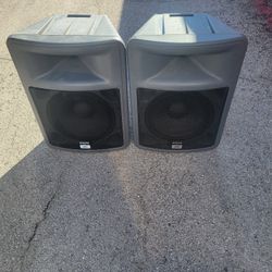 Peavy PR15 Concert Speakers