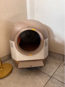 Automatic cat litter