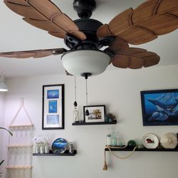 Ceiling Fan, Like New