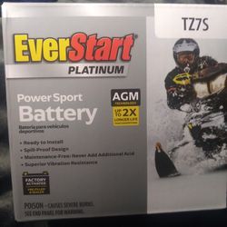 EverStart Platinum - Power Sport Battery
