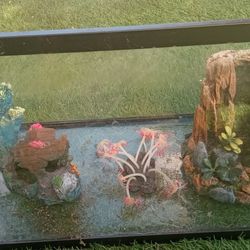 Pecera De 10 Galones Con Figuras Y Piedras Negras 