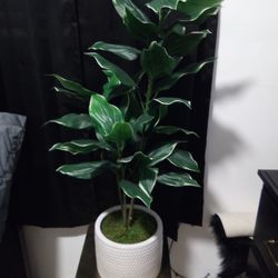 Fake Plant With Gold Stand