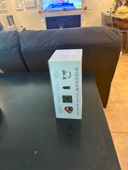Wingman Speaker + Audible GPS