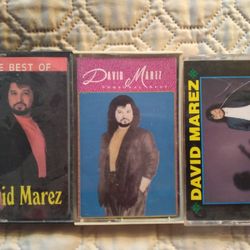 Tejano Tex/Mex Cassette Lot David Marez San Antonio Chicano Latin Soul