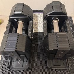 REPxPEPINS Dumbbells $1000