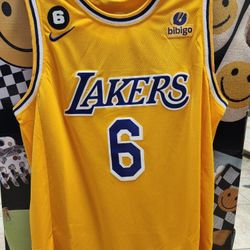 Lakers lebron james jersey