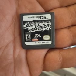 Nintendo DS 