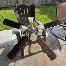 Elegant Hunter Ceiling Fan