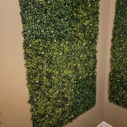Greenery 