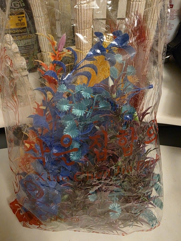 Fish Tank Plants