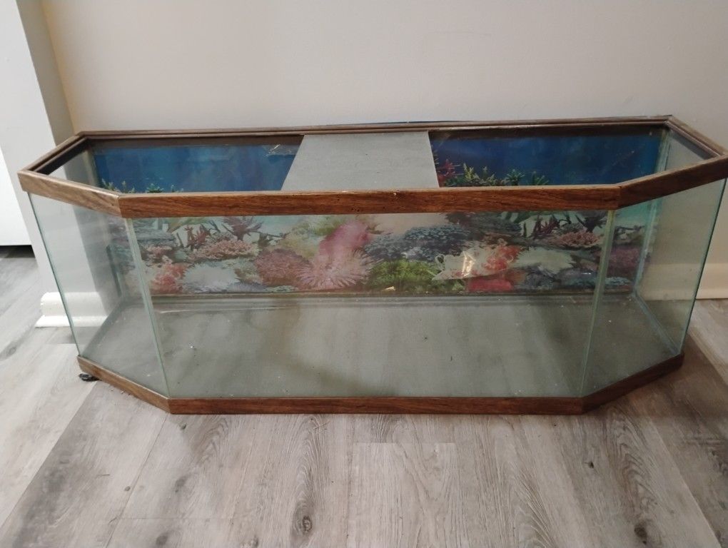 60 Gallon Fish Tank