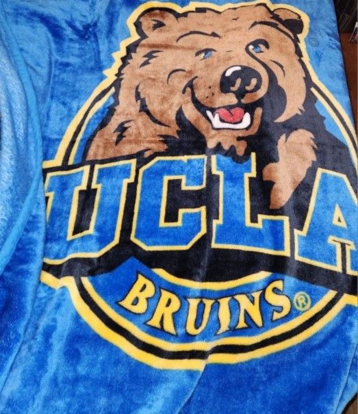 13x70 BRUINS FLUFFY BLANKET 