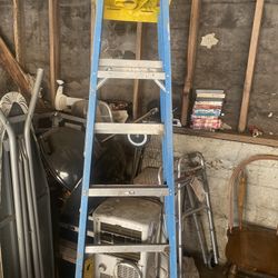 6’ Ladder 