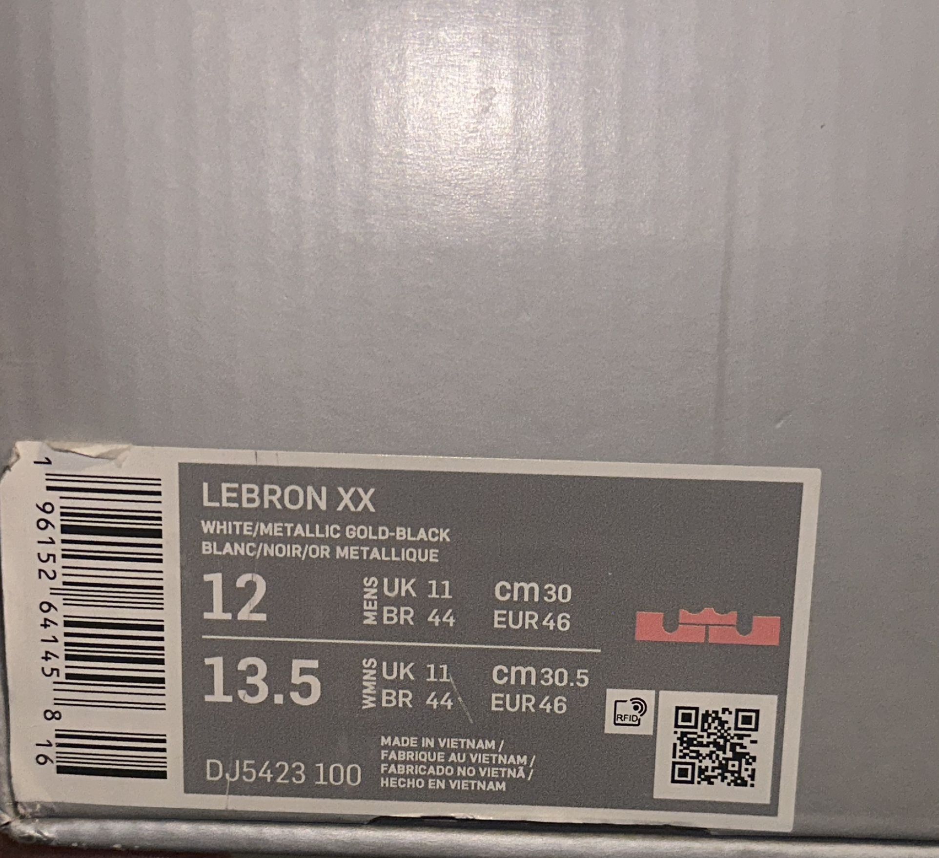 LeBron XX SIze 12