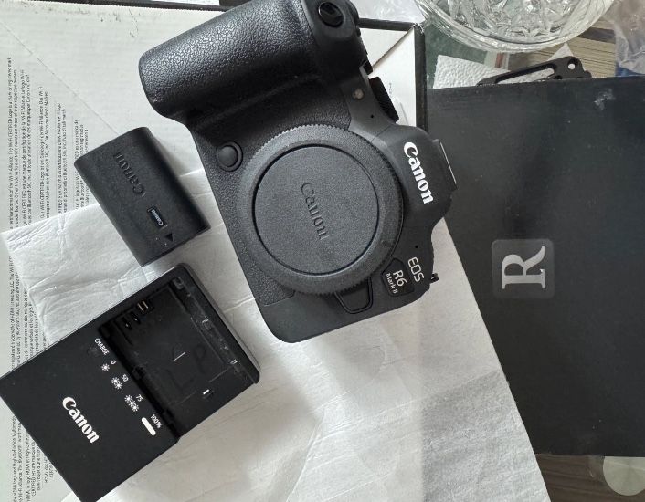 Canon EOS R6 Mark II 24.2 MP Digital Camera- Black (Body Only)