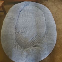 Human Dog Bed