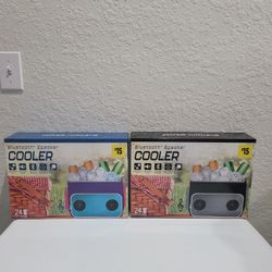 Bluetooth Speaker 24 Can Cooler Bag