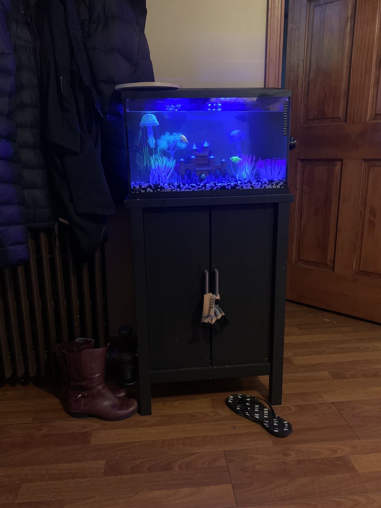 10g Fish Tank With Stand