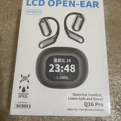 True Wireless Open Earbuds