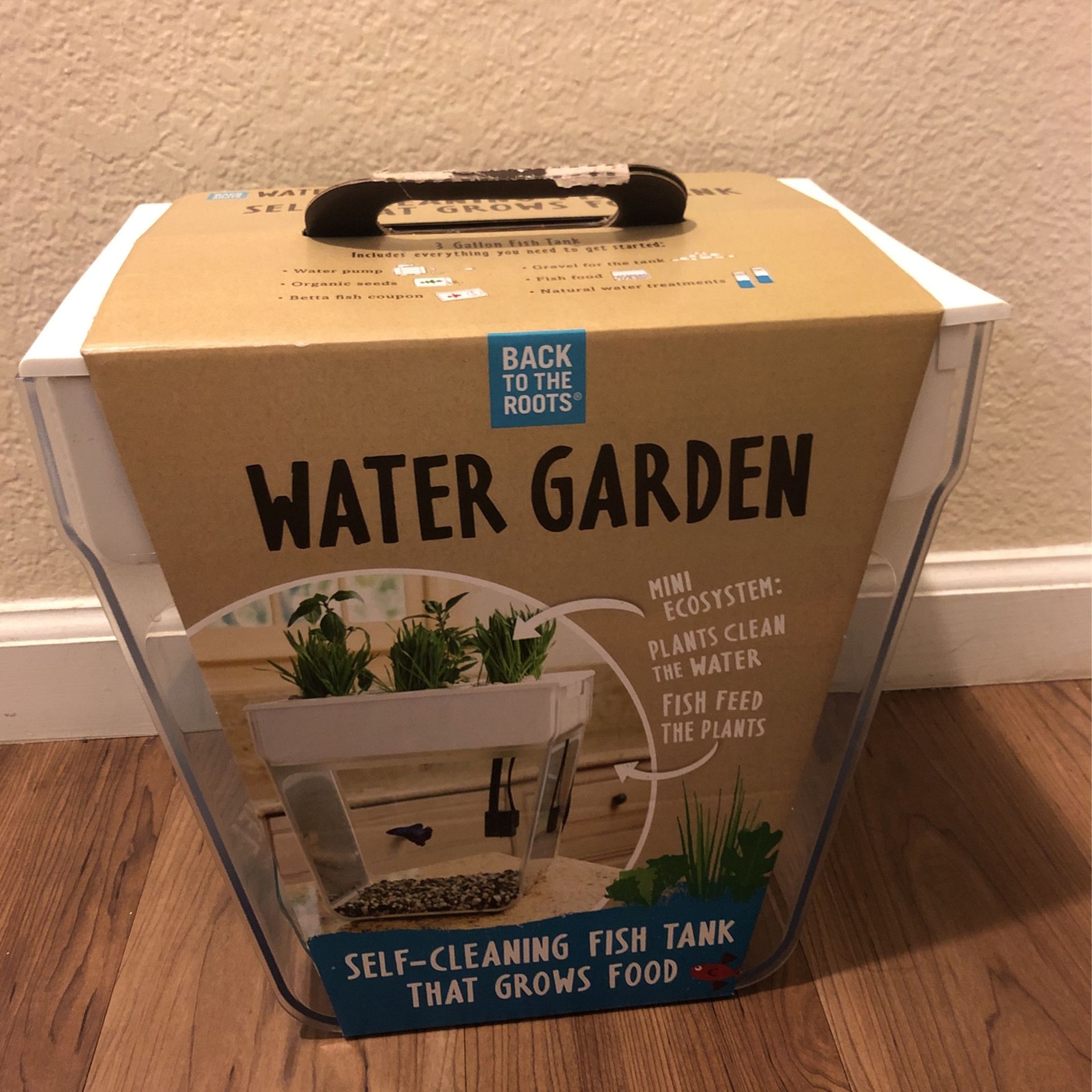 Back To The Roots : Water Garden