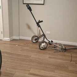 2 Wheel Folding Golf Cart