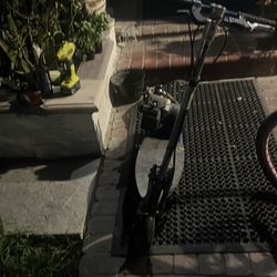 gas scooter